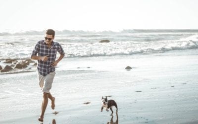Keeping Your Dog Safe at the Beach