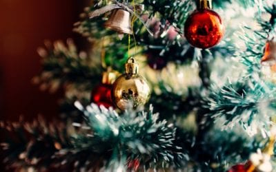 Christmas Tree Safety Tips for Pets